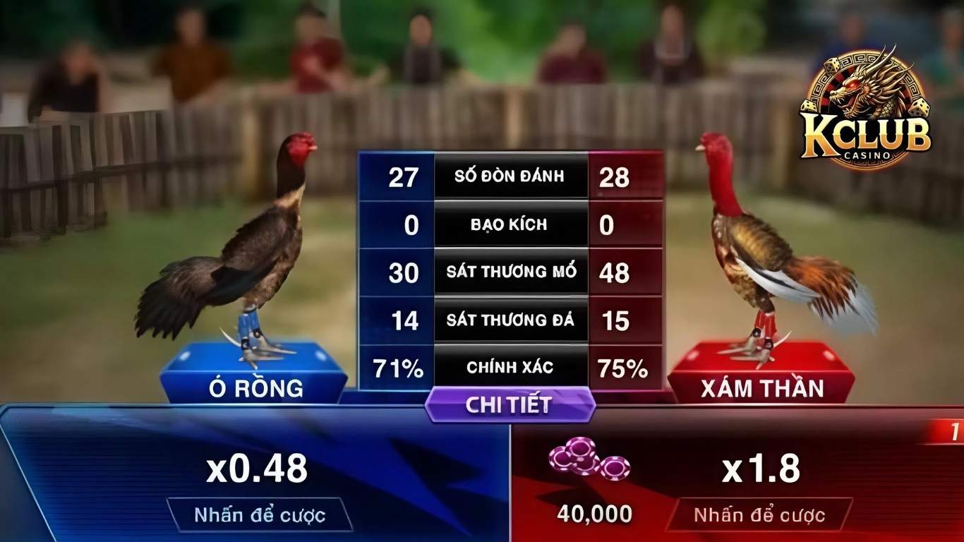 Lý do nên tham gia sảnh đá gà trực tiếp Kclub