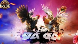 Thông tin sảnh cược đá gà Kclub
